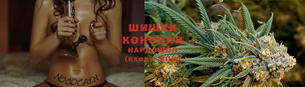 ГАЛЛЮЦИНОГЕННЫЕ ГРИБЫ Наволоки