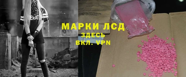 дживик Надым