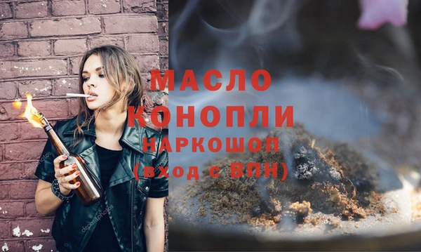 дживик Надым