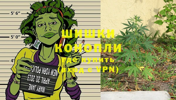 ГАЛЛЮЦИНОГЕННЫЕ ГРИБЫ Наволоки
