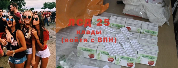 дживик Надым