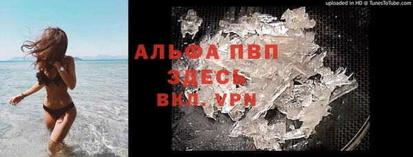 дживик Надым