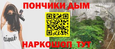 стаф Донской