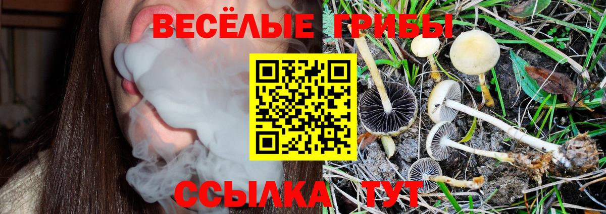 Саратов  Псилоцибиновые грибы GOLDEN TEACHER  Галлюциногенные грибы мицелий  Вход с VPN 