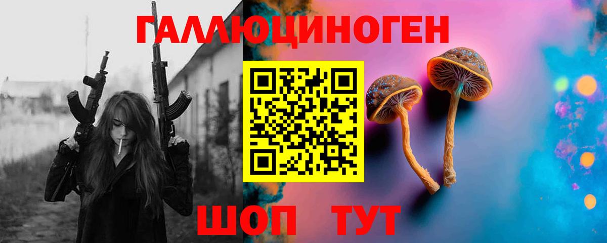 Галлюциногенные грибы Cubensis Саратов